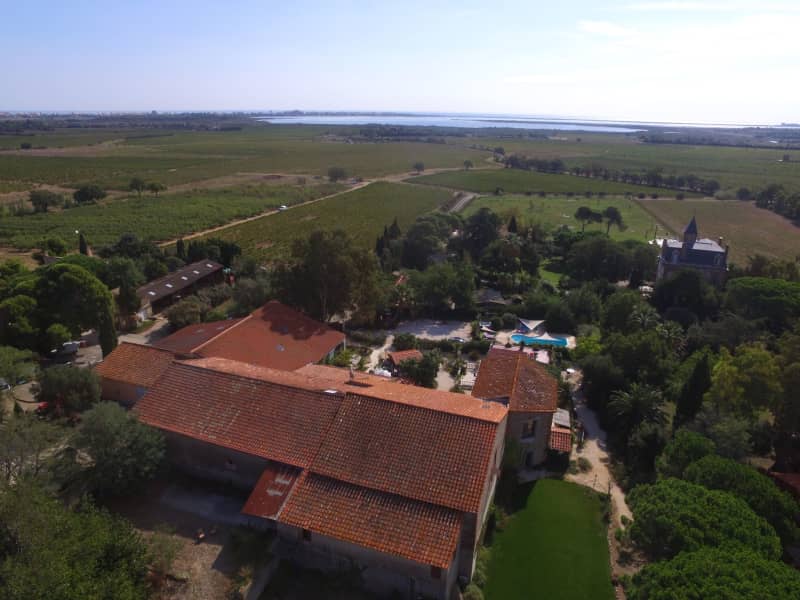 Housesitting assignment in Canet-en-Roussillon, France