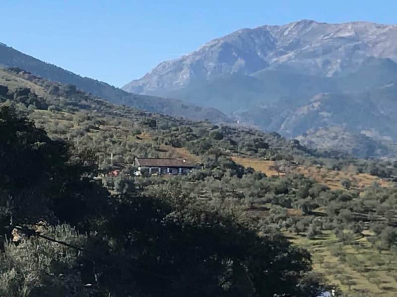 Housesitting assignment in Guaro, Spain