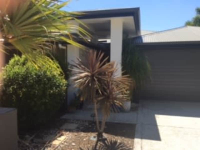 Housesitting assignment in Sunshine Coast, Queensland, Australia