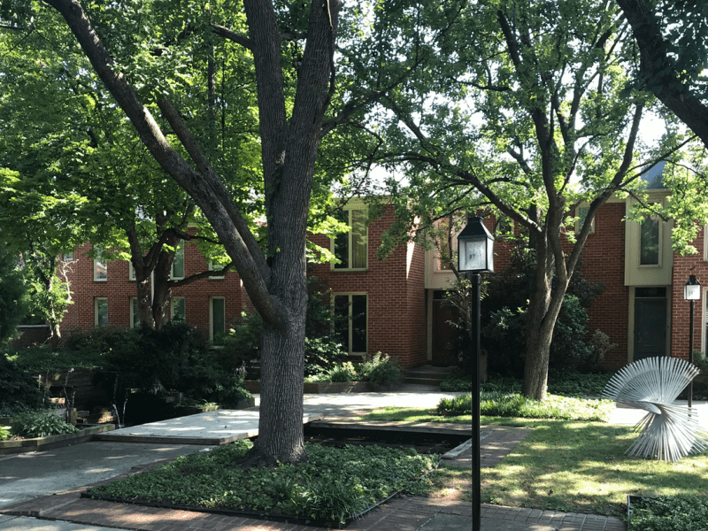 Housesitting assignment in Baltimore, Maryland, United States