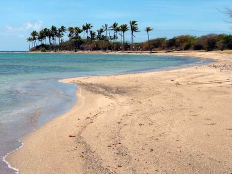 Housesitting assignment in Barnes Hill, Antigua and Barbuda