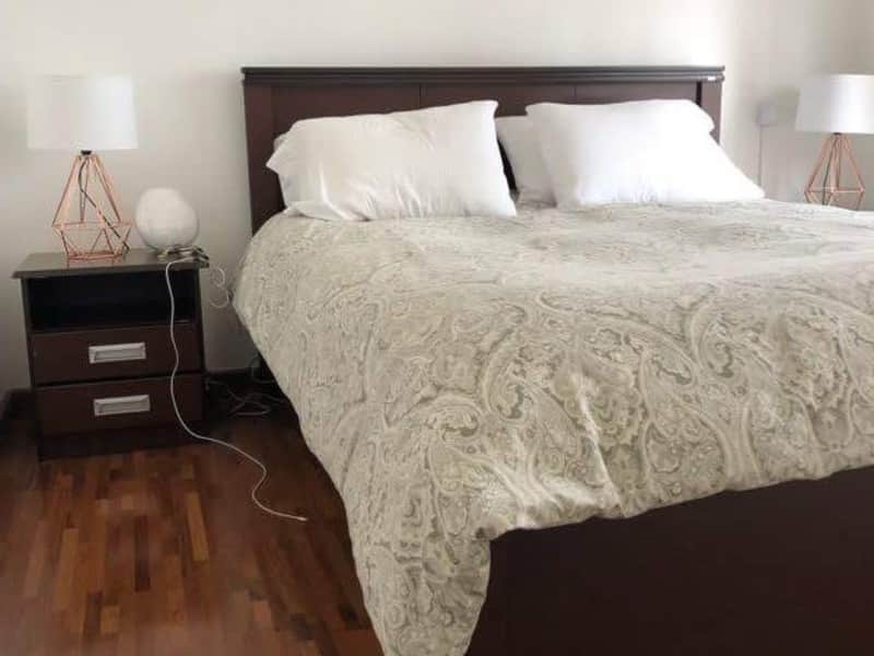 Housesitting assignment in São Paulo, Brazil
