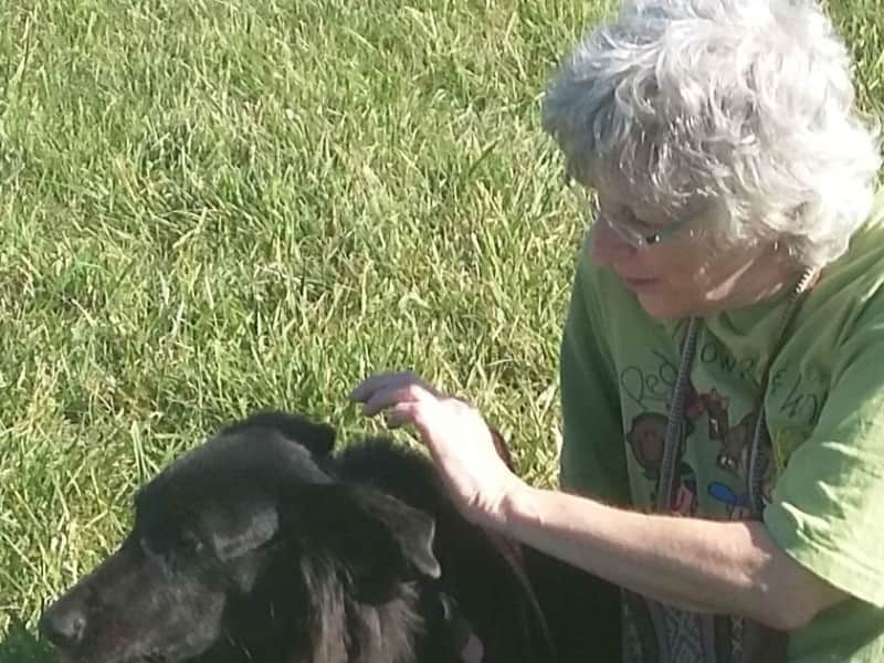 Sue from Toronto, Ontario, Canada