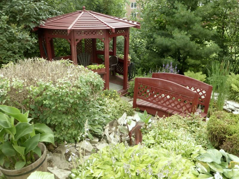 Housesitting assignment in Waterloo, Ontario, Canada