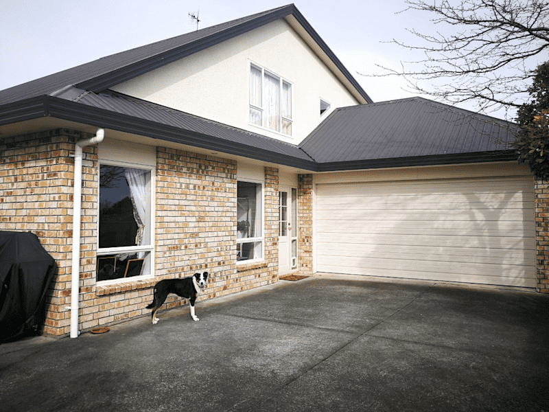 Housesitting assignment in Palmerston North, New Zealand