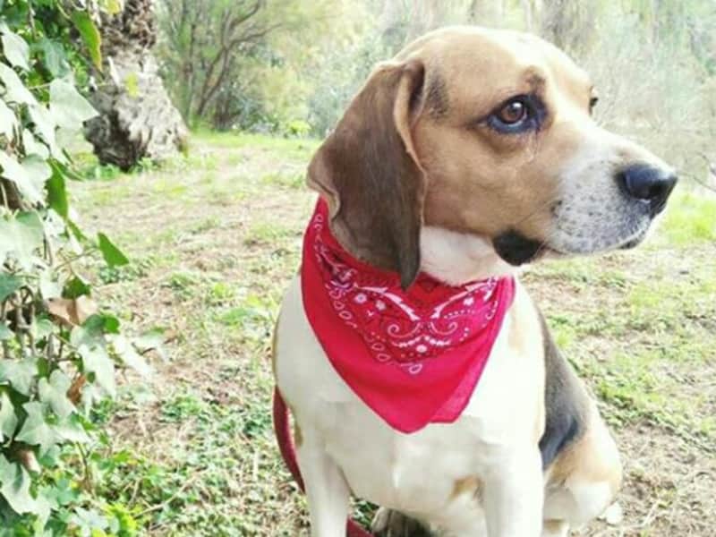 Valentina from Alicante, Spain