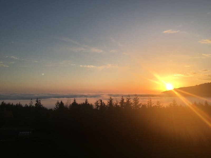 Housesitting assignment in Sequim, Washington, United States