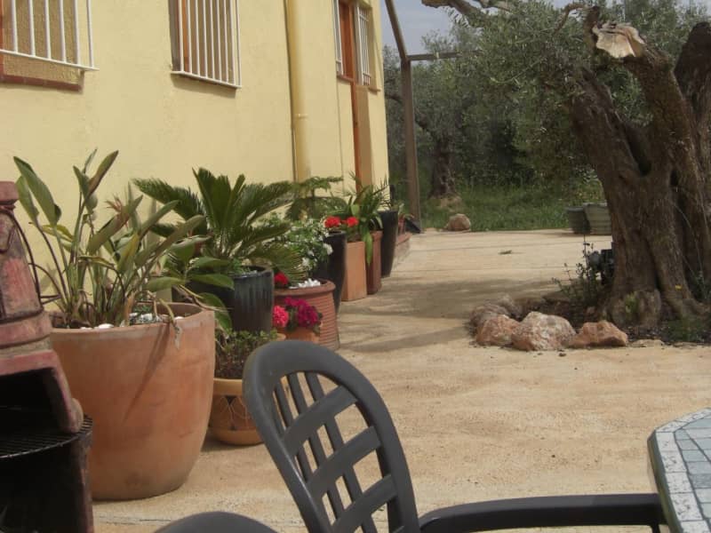 Housesitting assignment in L'Aldea, Spain