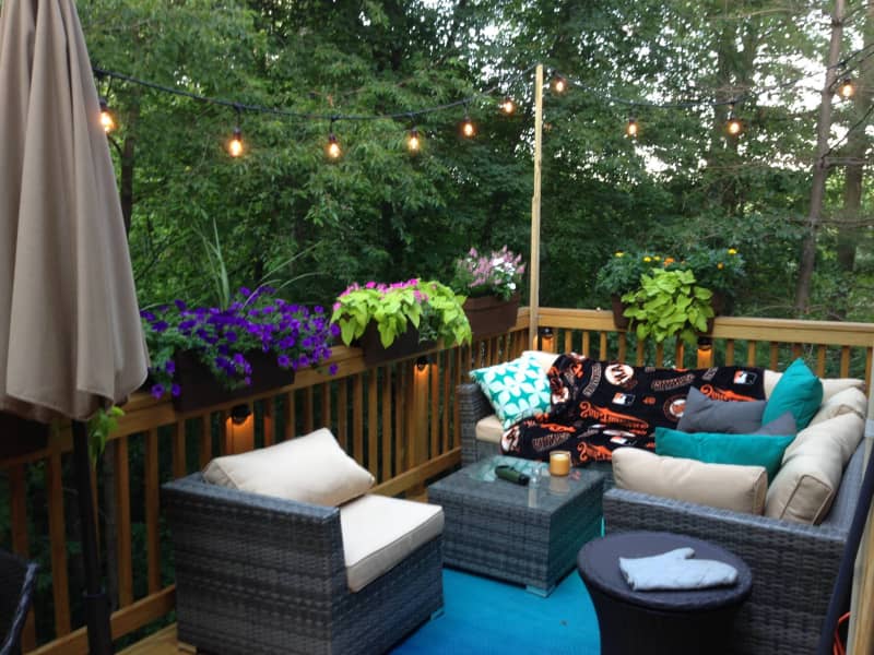 Housesitting assignment in Reston, Virginia, United States