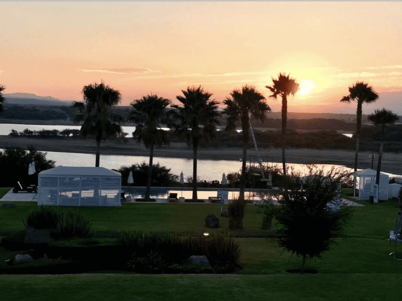 Housesitting assignment in San Miguel de Allende, Mexico