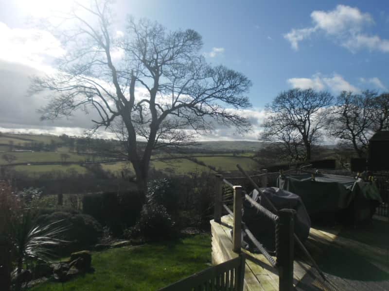 Housesitting assignment in Welshpool, United Kingdom