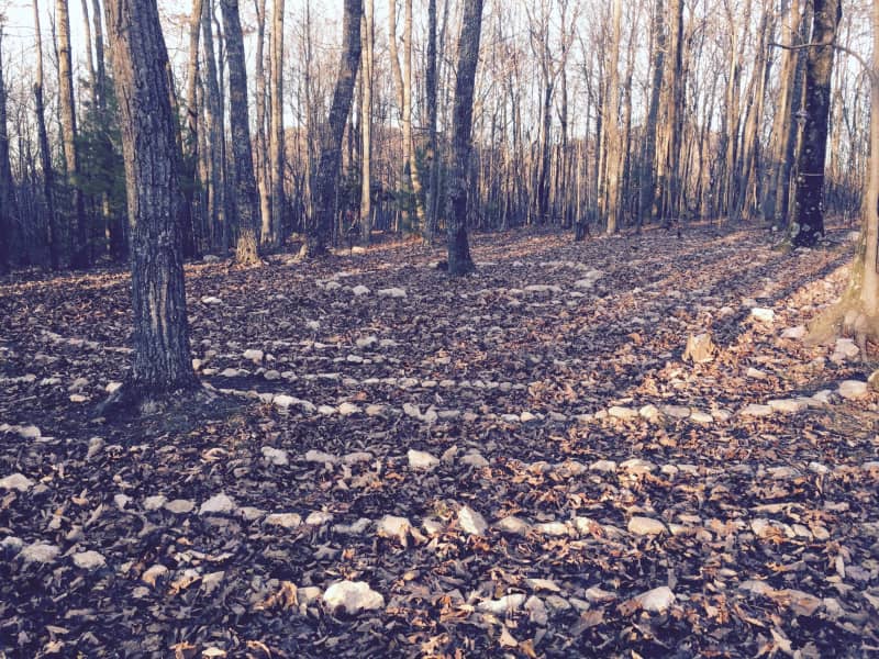 Housesitting assignment in Floyd, Virginia, United States