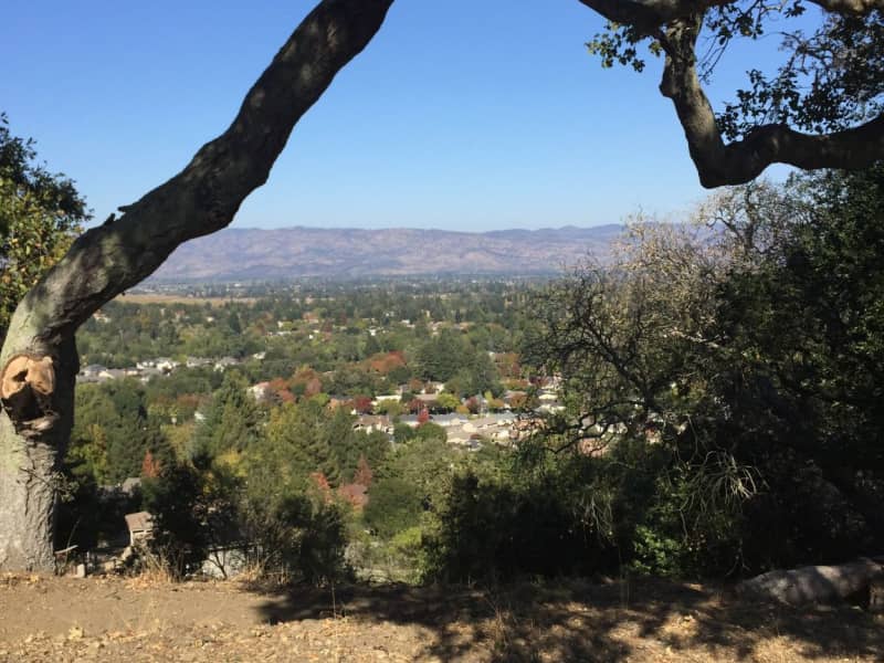 Housesitting assignment in Napa, California, United States