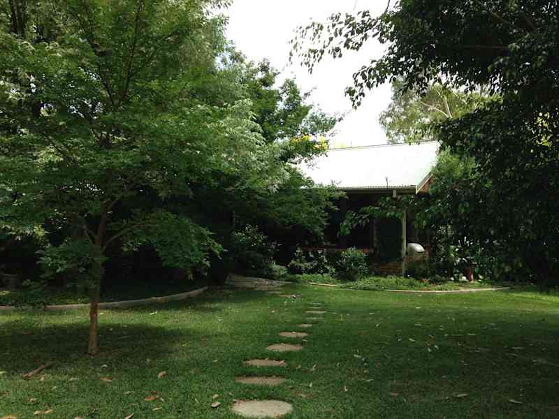 Housesitting assignment in Dural, New South Wales, Australia