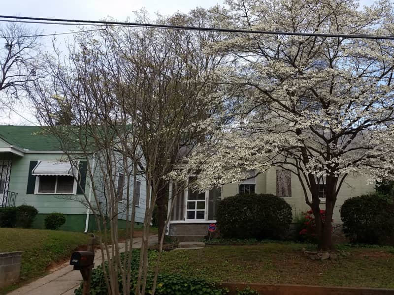 Housesitting assignment in Atlanta, Georgia, United States