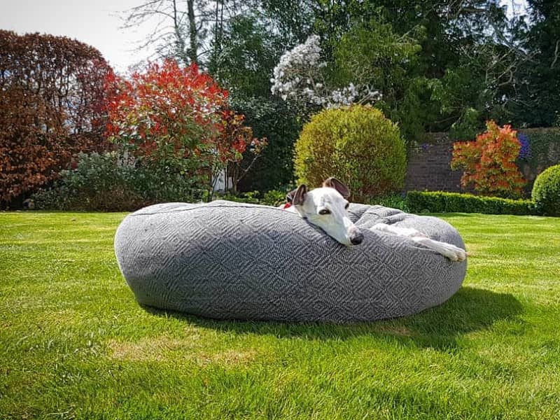 Housesitting assignment in Lindfield, United Kingdom