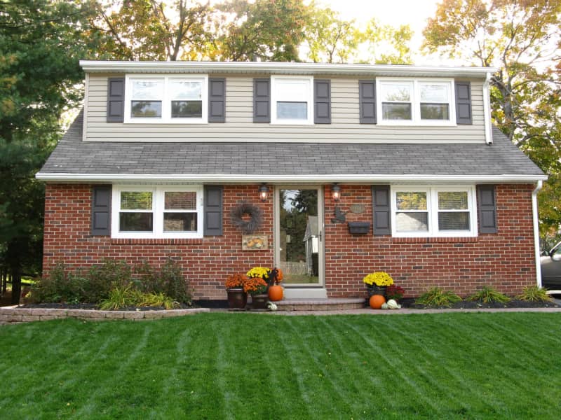 Housesitting assignment in North Wales, Pennsylvania, United States