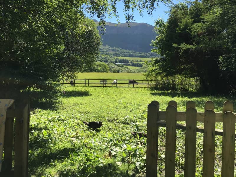 Housesitting assignment in Sligo, Ireland