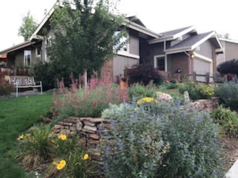 Housesitting assignment in Fort Collins, Colorado, United States