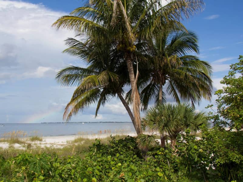 Housesitting assignment in Fort Myers Beach, Florida, United States
