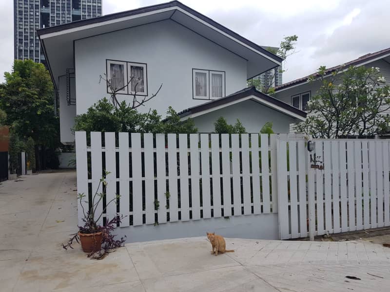 Housesitting assignment in Sathorn, Thailand