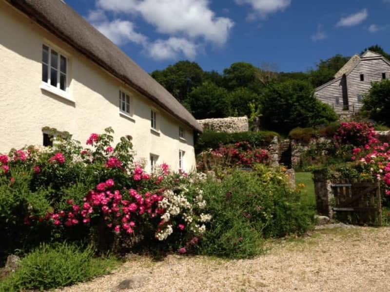 Housesitting assignment in Chagford, United Kingdom