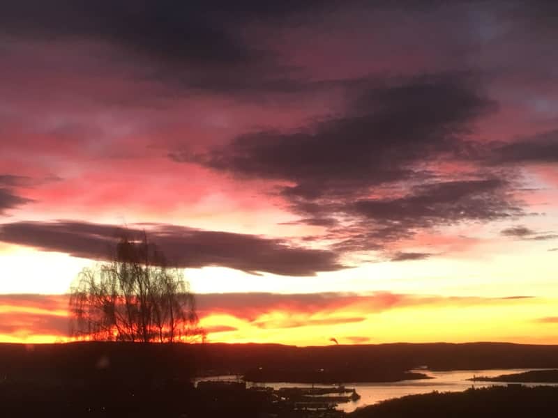 Housesitting assignment in Oslo, Norway