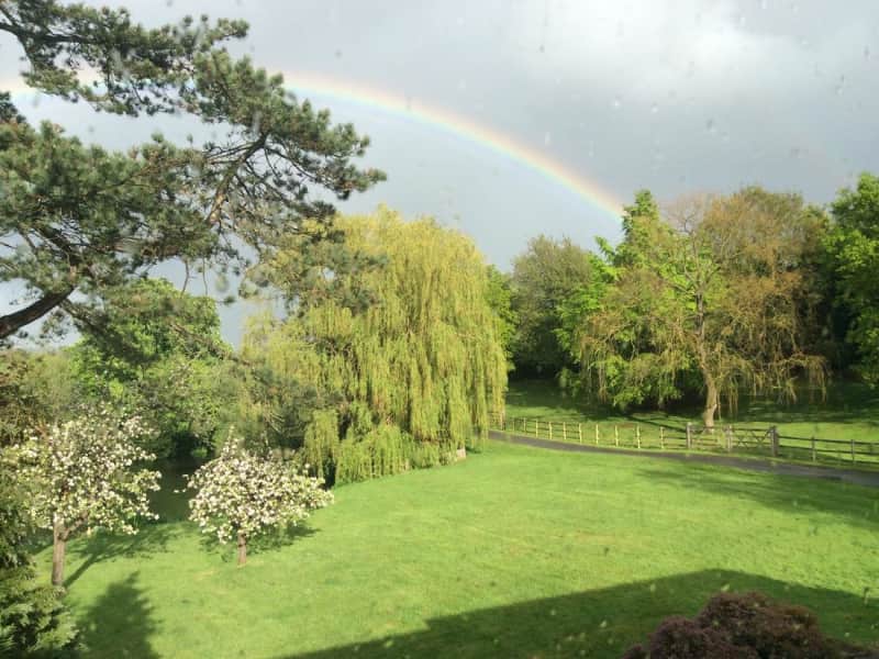 Housesitting assignment in Chelmsford, United Kingdom