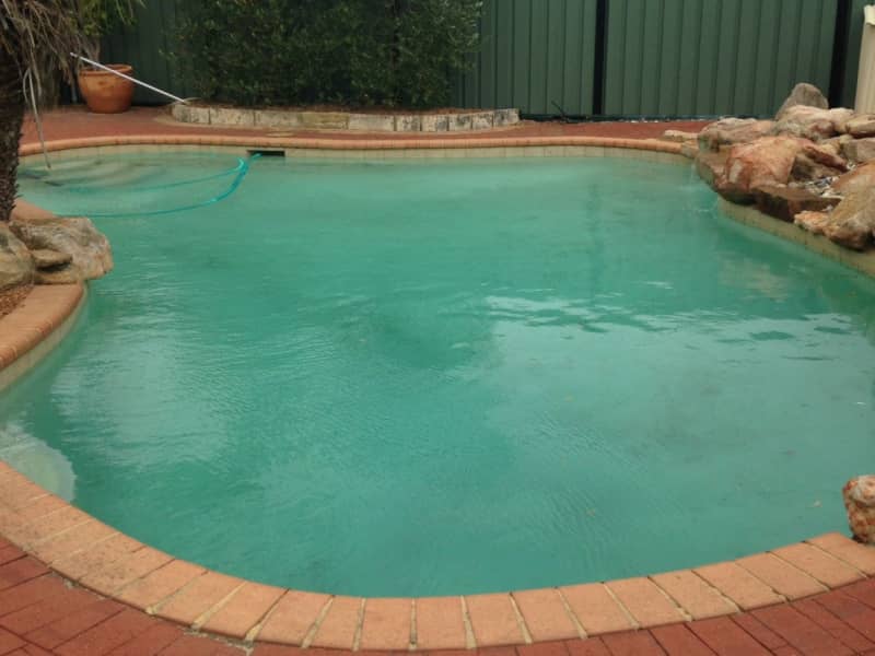 Housesitting assignment in Leeming, Western Australia, Australia