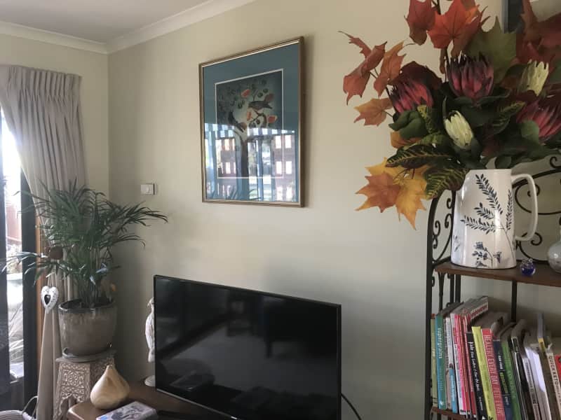 Housesitting assignment in Lake Gardens, Victoria, Australia