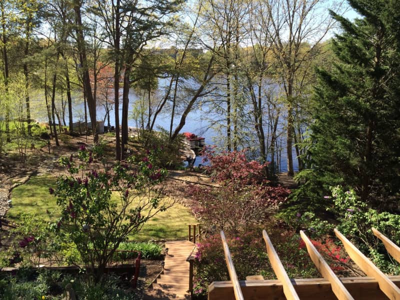 Housesitting assignment in Falls Church, Virginia, United States