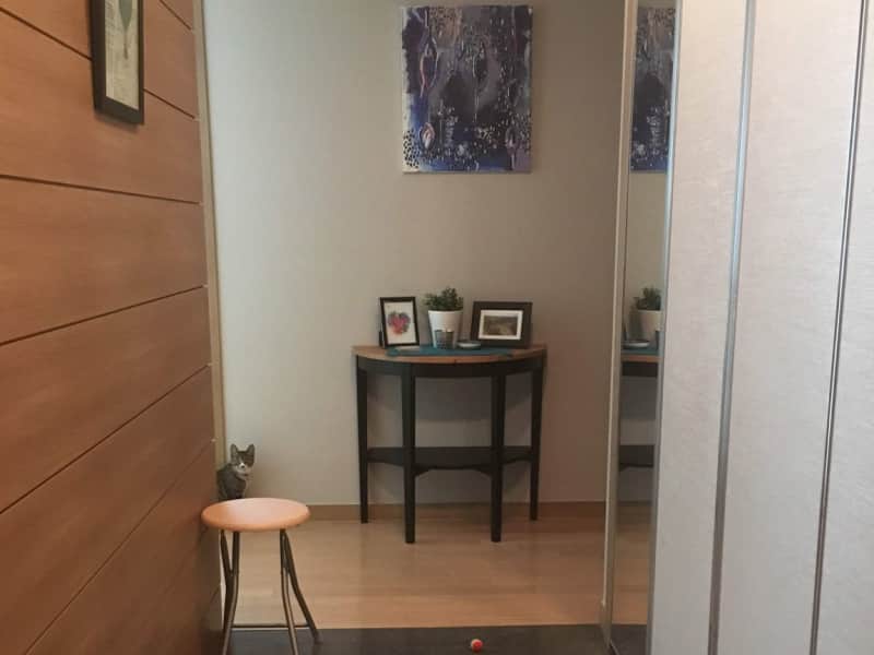 Housesitting assignment in Incheon, South Korea
