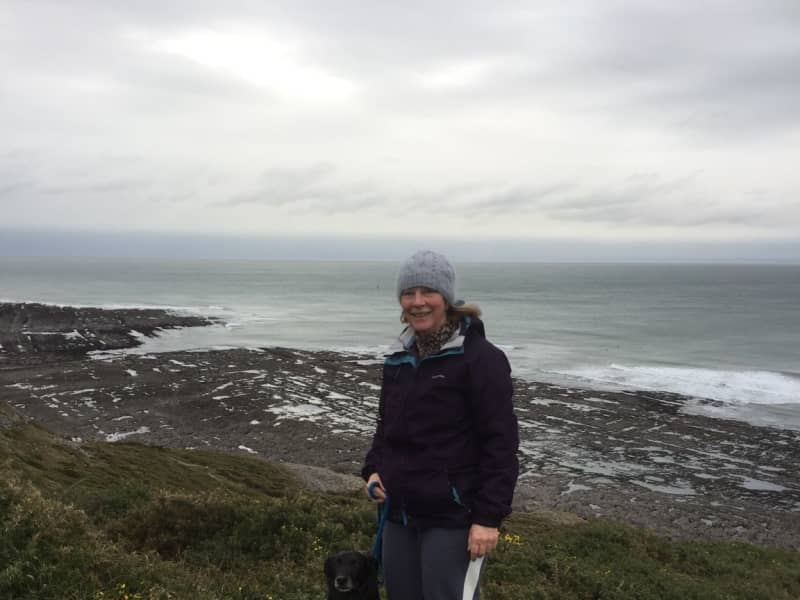 Housesitting assignment in Swansea, United Kingdom