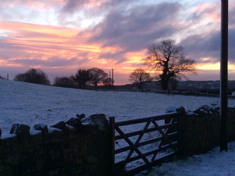 Housesitting assignment in Frodsham, United Kingdom
