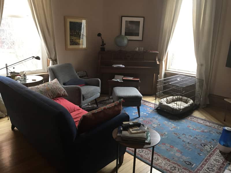 Housesitting assignment in Chicago, Illinois, United States