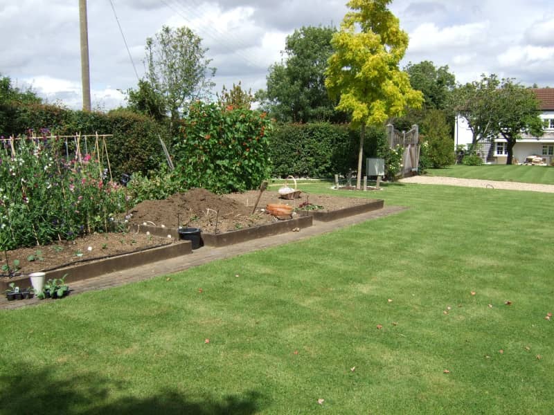 Housesitting assignment in Bedford, United Kingdom