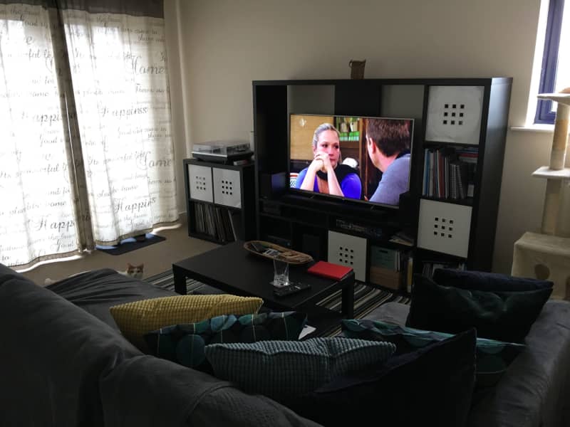 Housesitting assignment in Manchester, United Kingdom