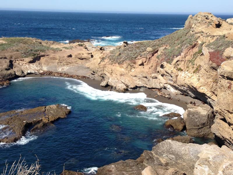 Housesitting assignment in Santa Cruz, California, United States