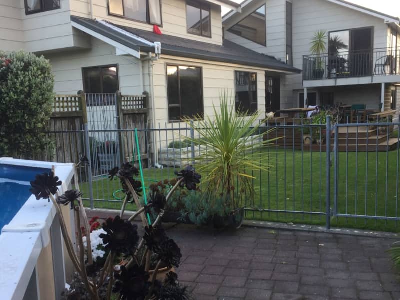Housesitting assignment in Napier, New Zealand