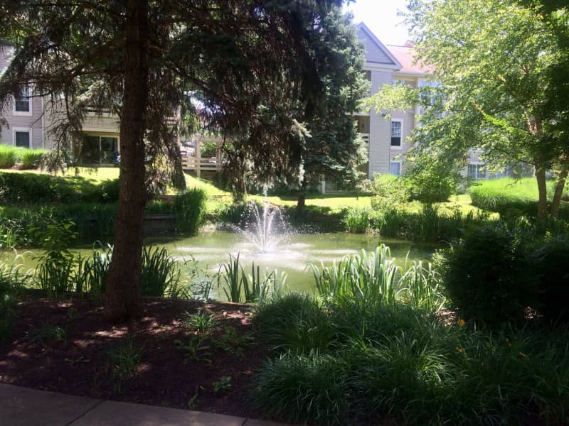 Housesitting assignment in Arlington, Virginia, United States