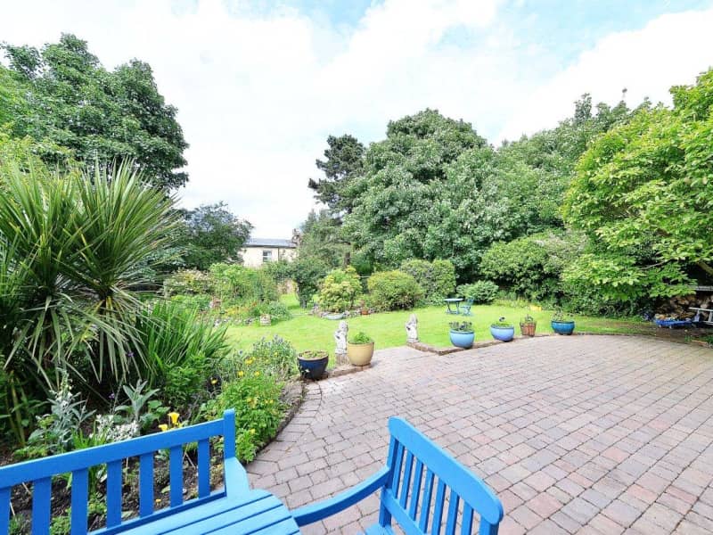 Housesitting assignment in Birmingham, United Kingdom