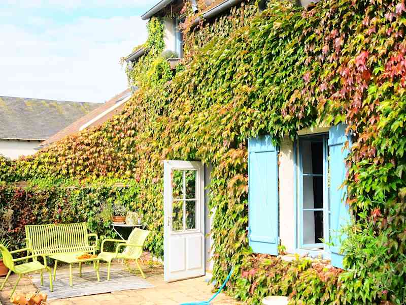 Housesitting assignment in Levainville, France