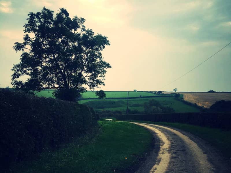 Housesitting assignment in Hallaton, United Kingdom