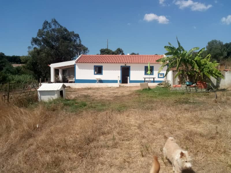 Housesitting assignment in Odemira, Portugal