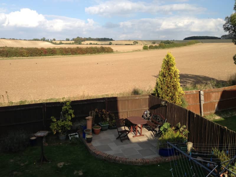 Housesitting assignment in Luton, United Kingdom
