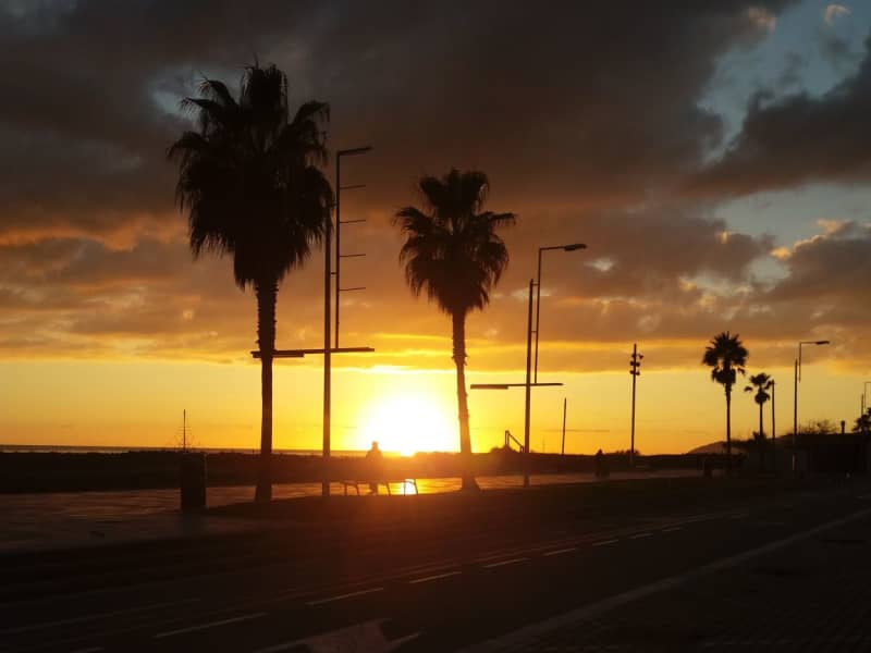 Housesitting assignment in Barcelona, Spain