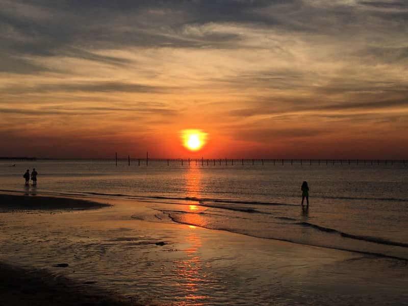 Housesitting assignment in Virginia Beach, Virginia, United States
