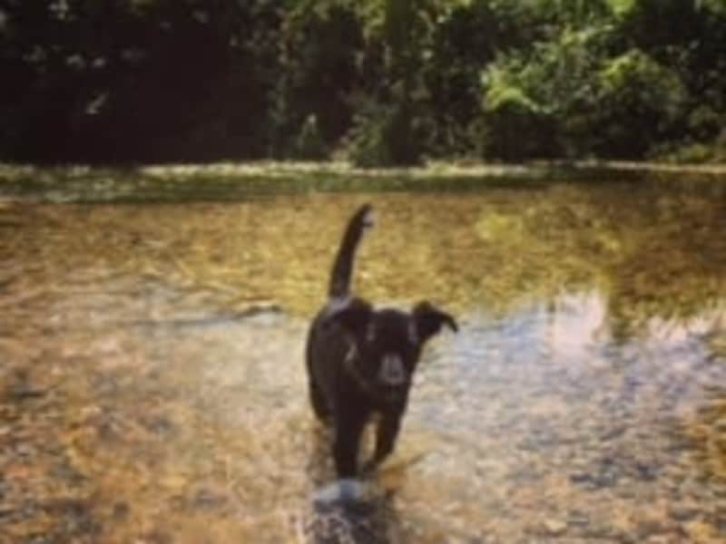 Alice from Puddletown, United Kingdom