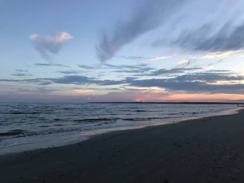 Housesitting assignment in Saint Simons Island, Georgia, United States