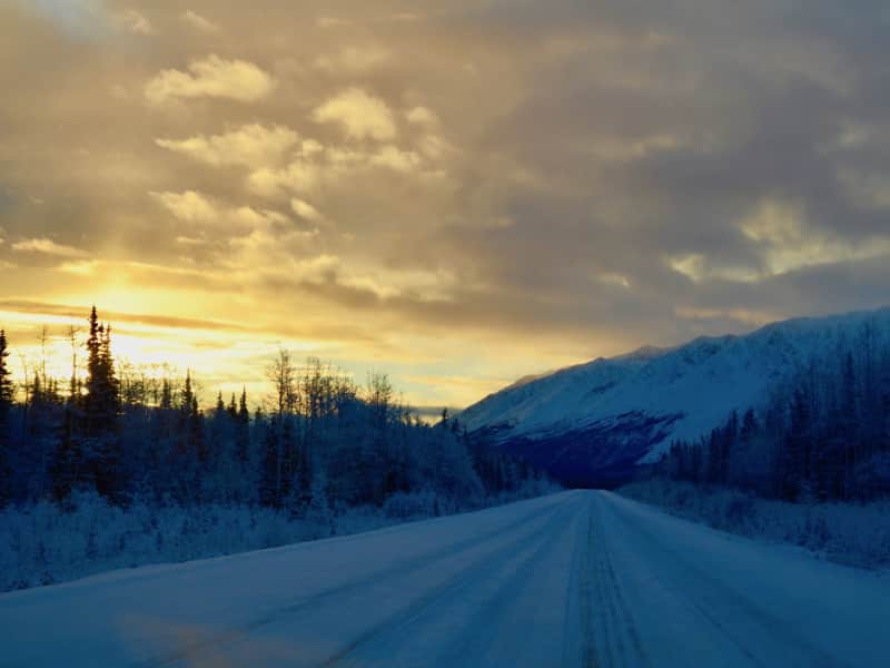 Housesitting assignment in Whitehorse, Yukon, Canada